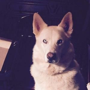 Meet your Posher, Sue